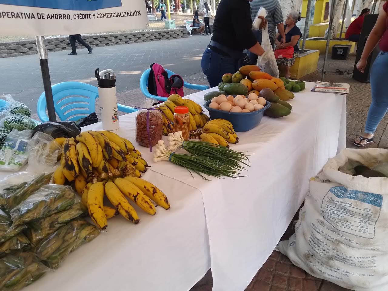 Acomudt sigue apoyando los Mercaditos Solidarios 