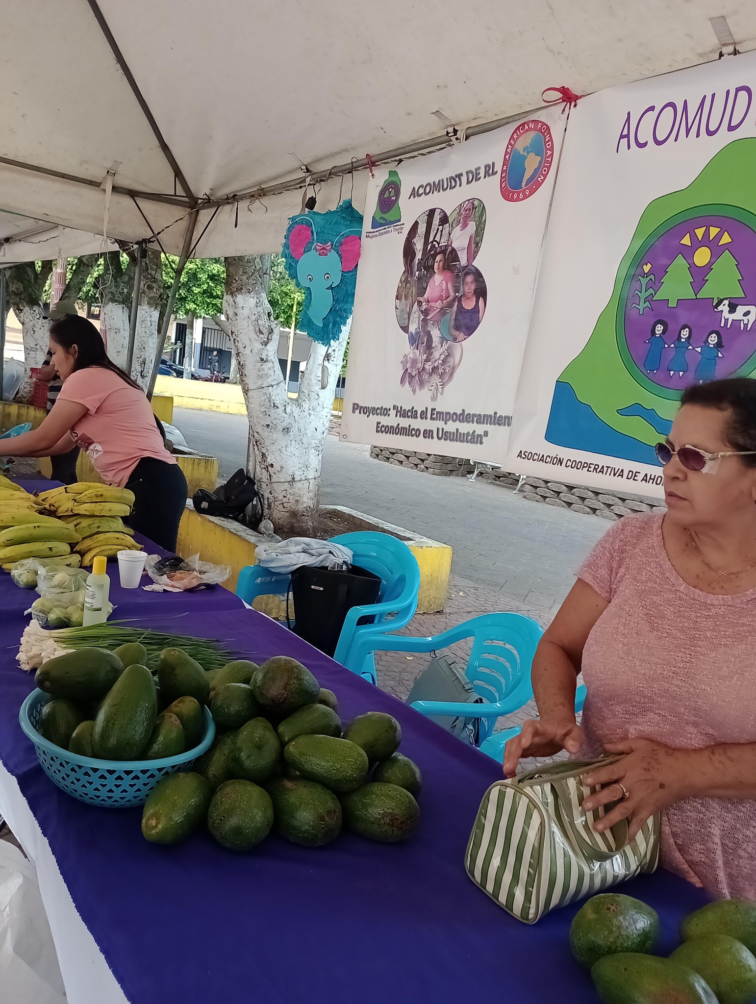 Continuamos con los Mercaditos solidarios Agroecológicos 