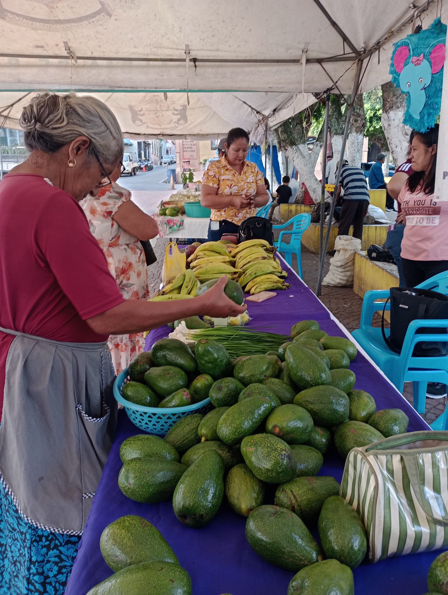 Continuamos con los Mercaditos solidarios Agroecológicos 