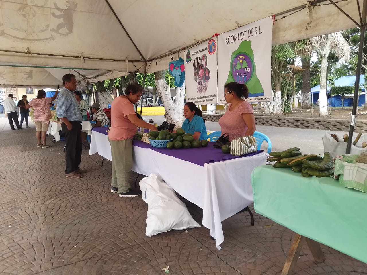 Continuamos con los Mercaditos solidarios Agroecológicos 