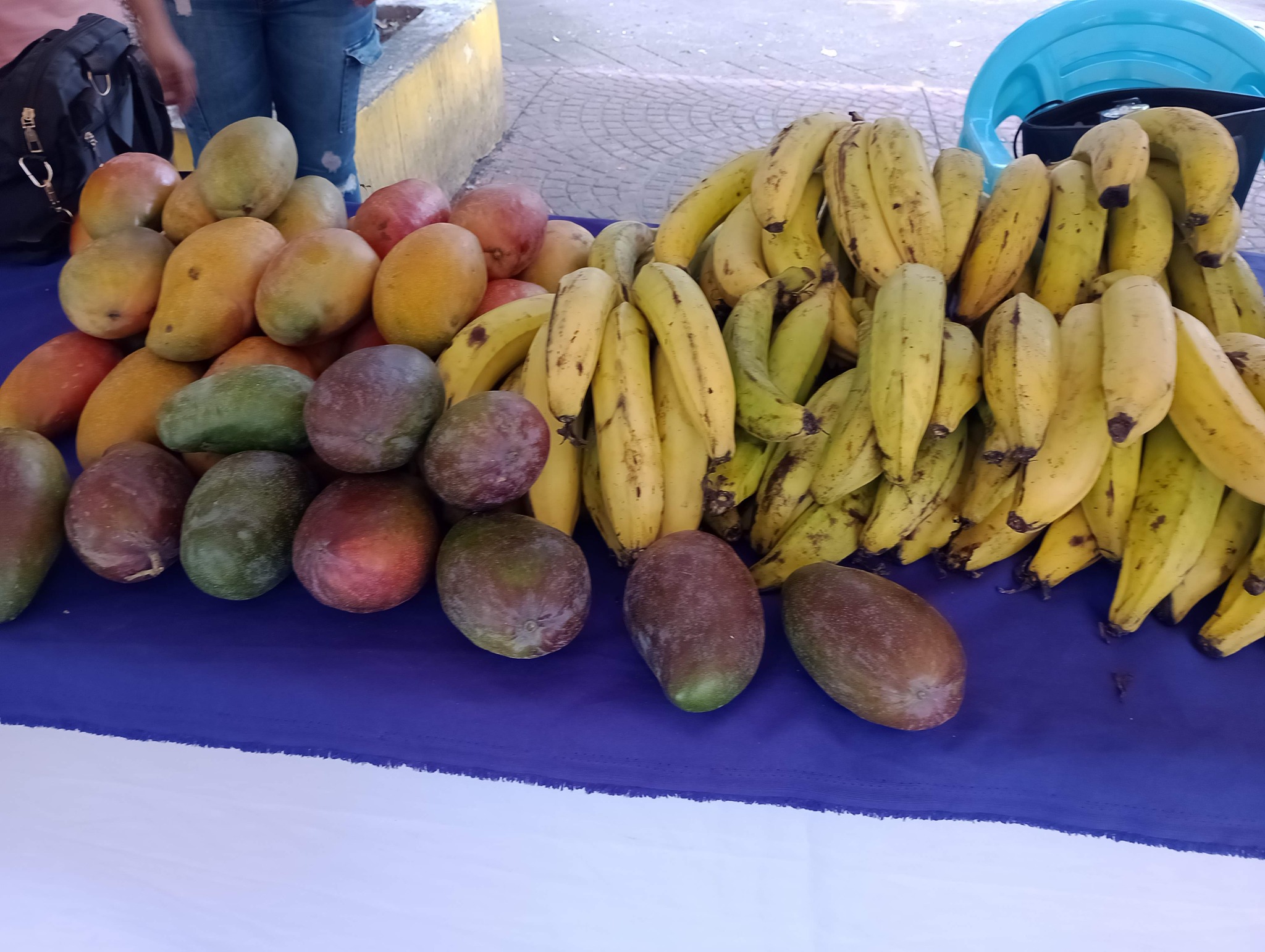 Continuamos con los Mercaditos solidarios Agroecológicos 