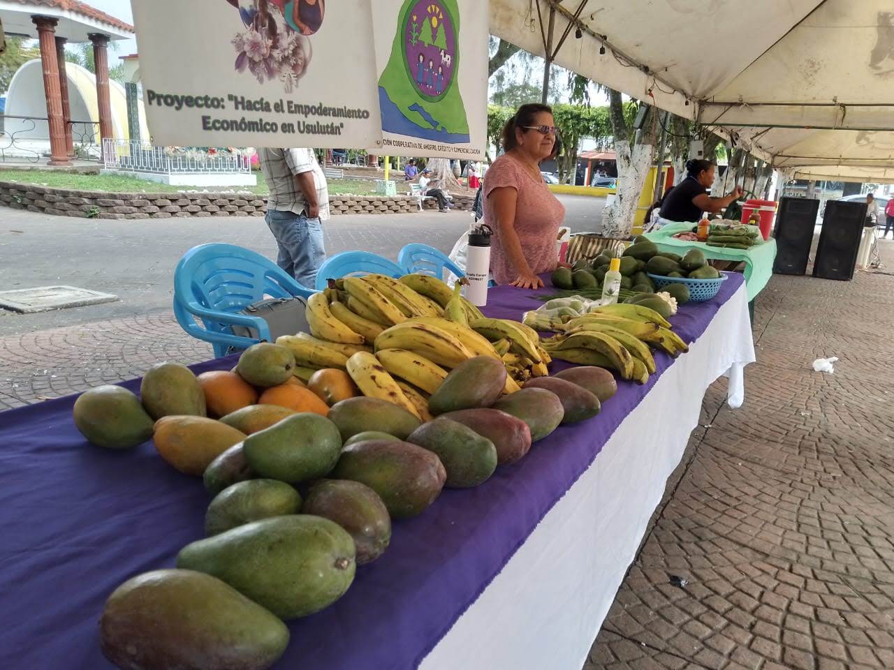 Continuamos con los Mercaditos solidarios Agroecológicos 