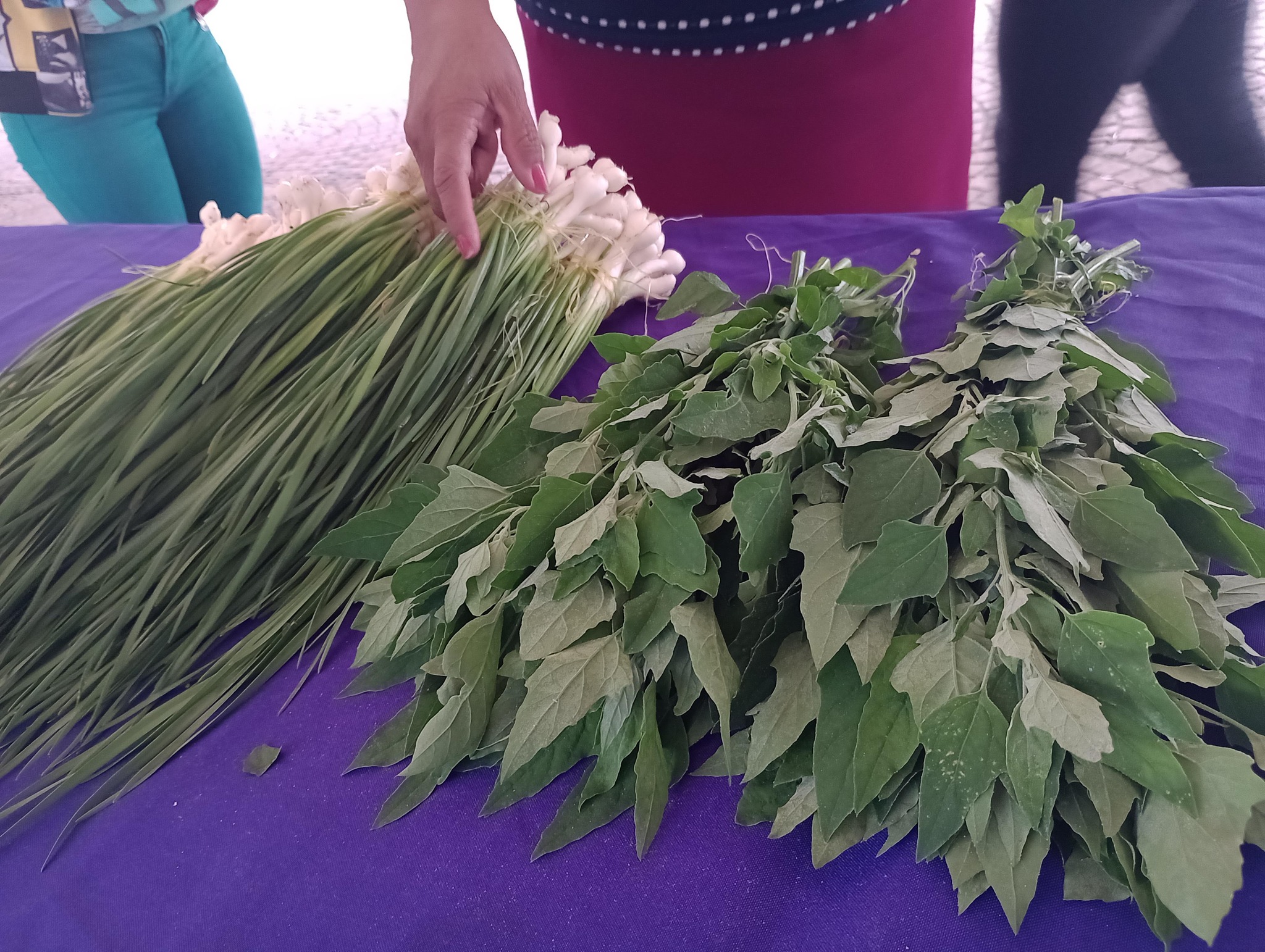 Continuamos con los Mercaditos solidarios Agroecológicos 