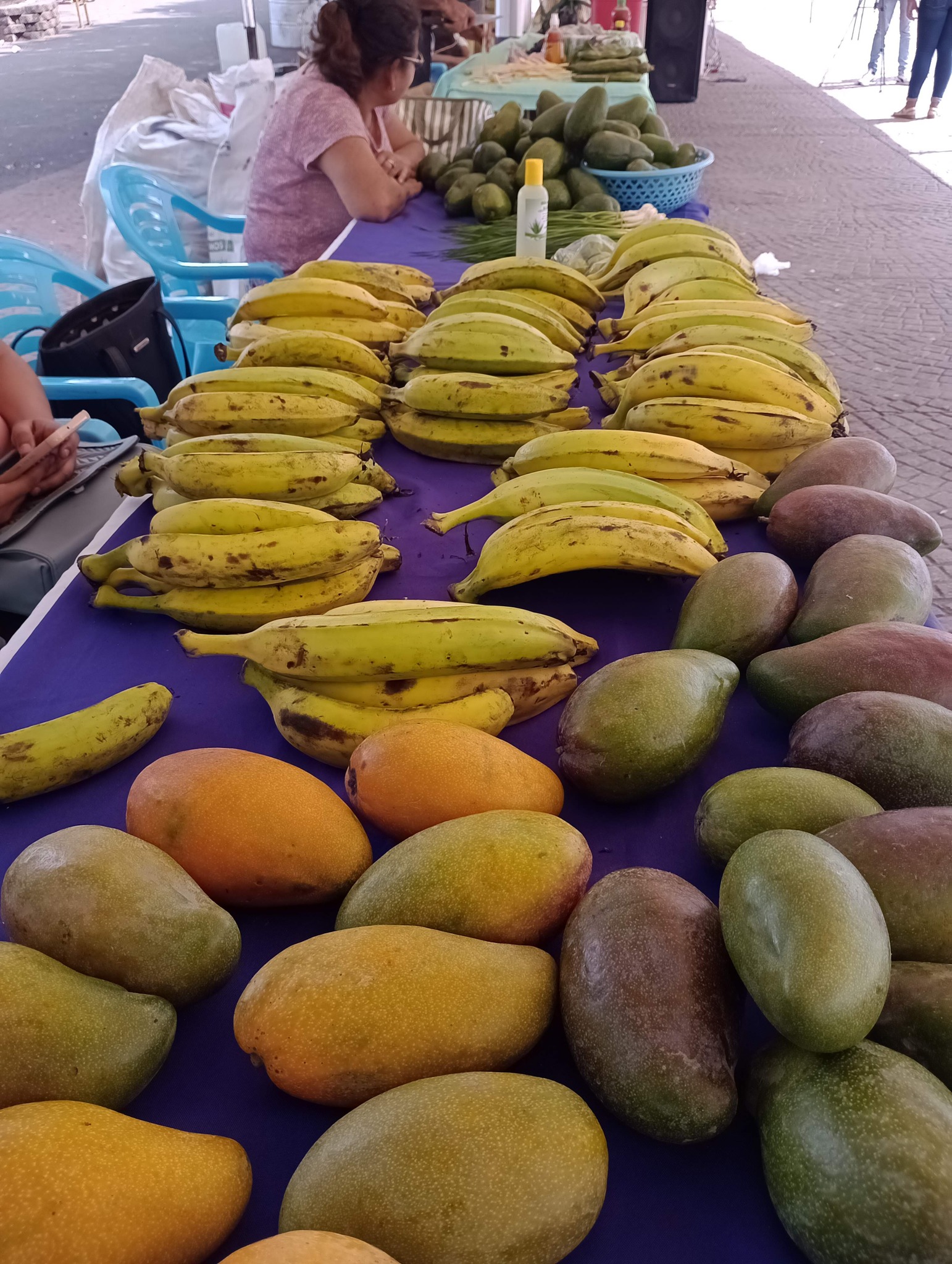 Continuamos con los Mercaditos solidarios Agroecológicos 