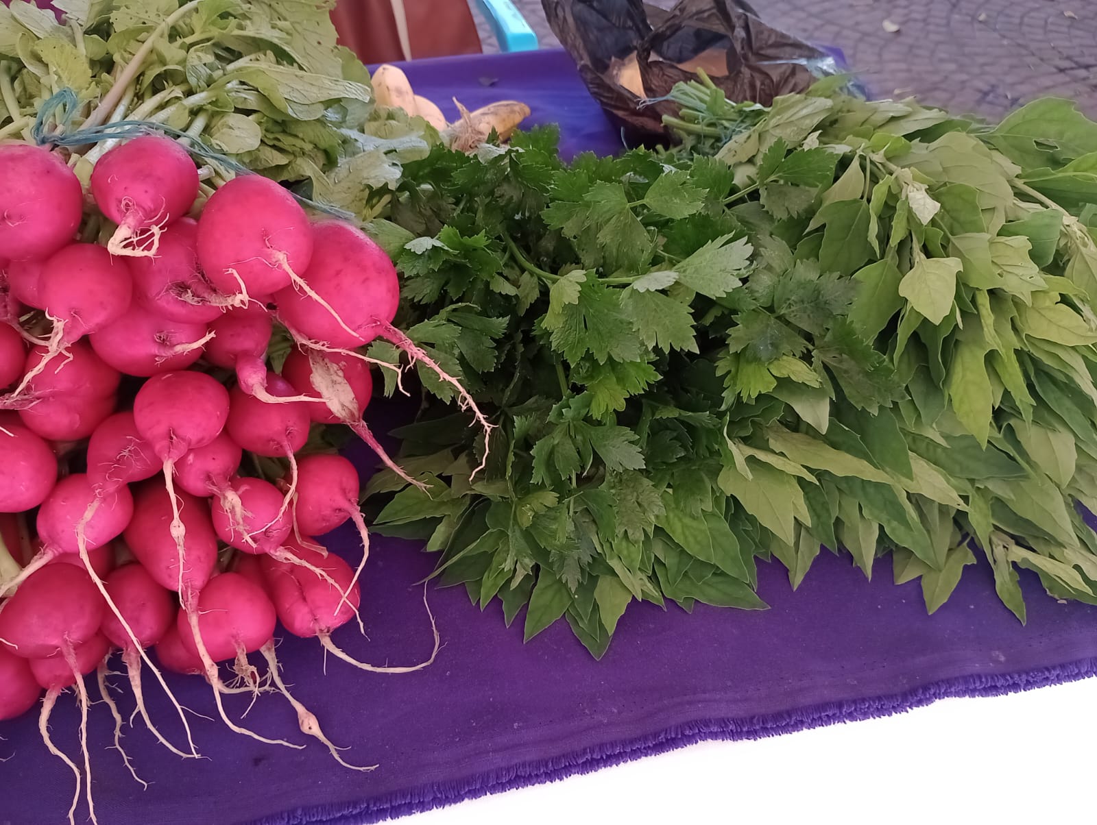 Día del Mercadito Solidario Agroecológico 