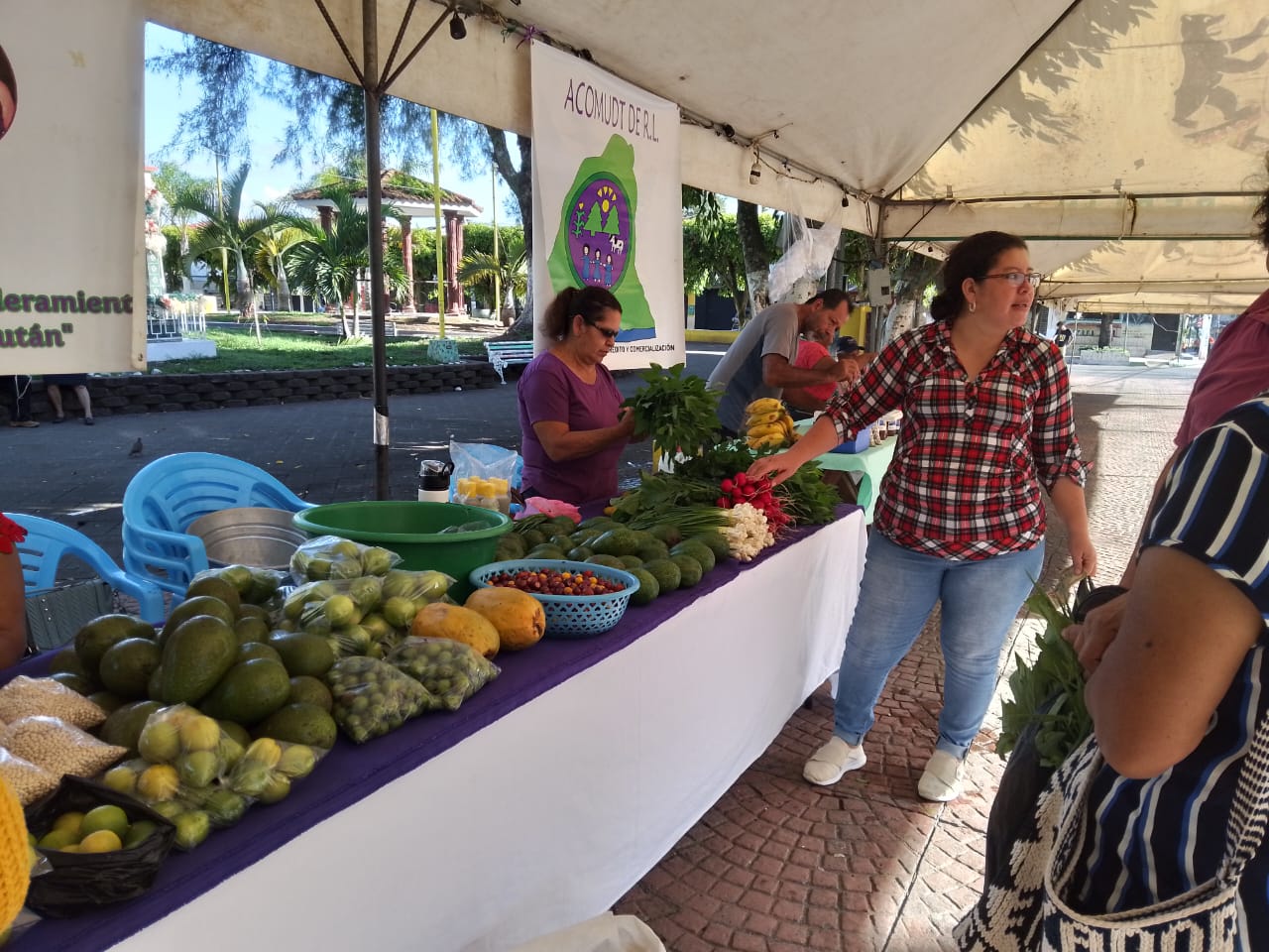 Día del Mercadito Solidario Agroecológico 