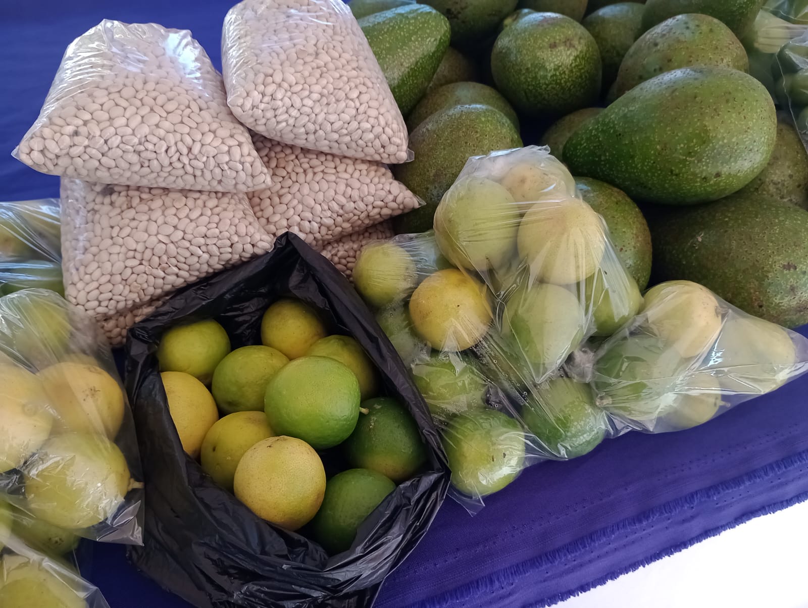 Día del Mercadito Solidario Agroecológico 