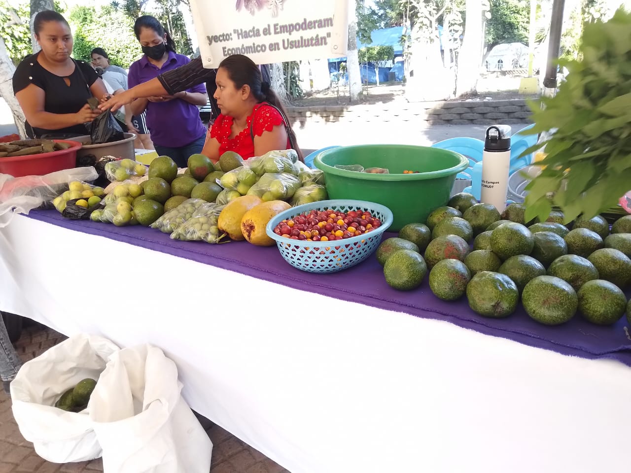 Día del Mercadito Solidario Agroecológico 