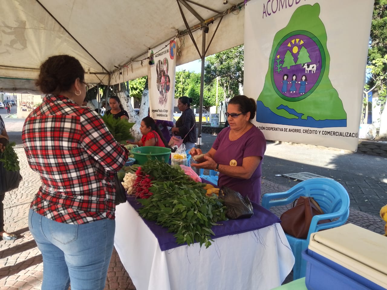 Día del Mercadito Solidario Agroecológico 