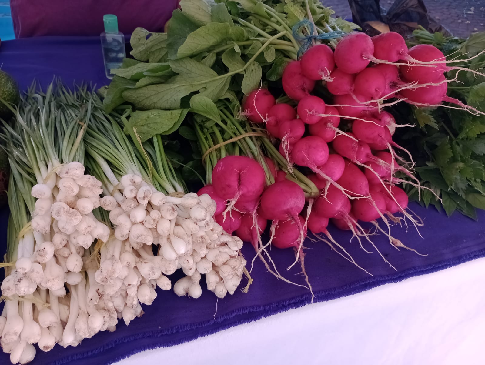 Día del Mercadito Solidario Agroecológico 