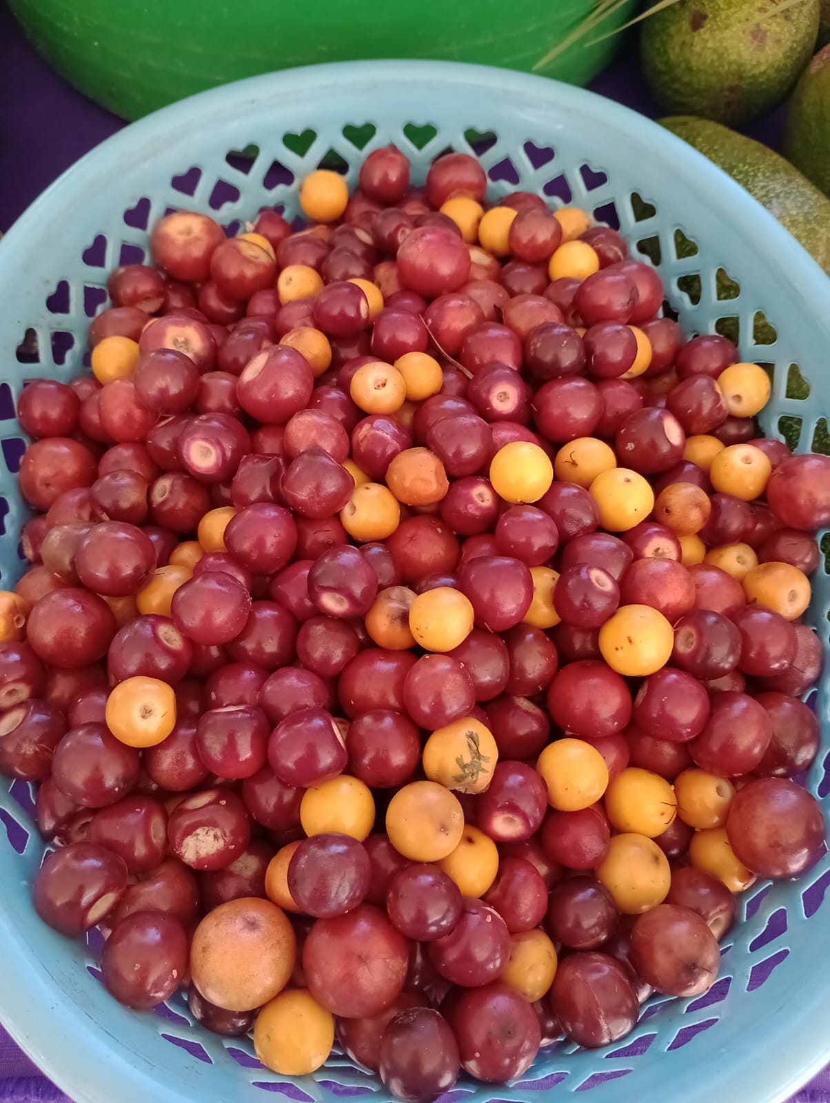 Día del Mercadito Solidario Agroecológico 