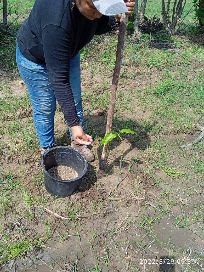 Día del medio Ambiente 