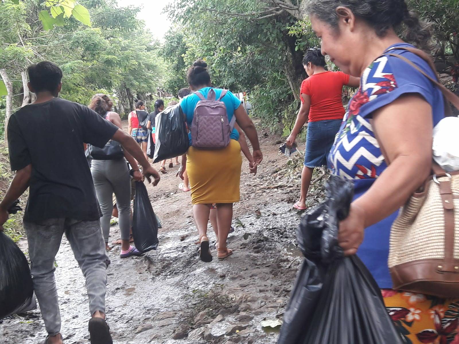 Día del medio Ambiente 