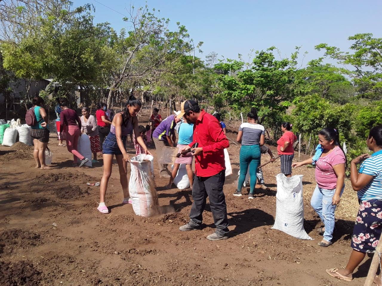 Elaboración de abono orgánico 