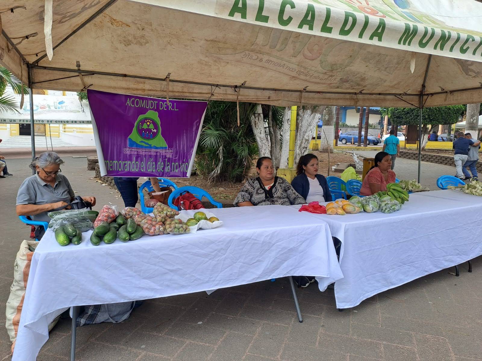 Mercadito Solidario Agroecológico 