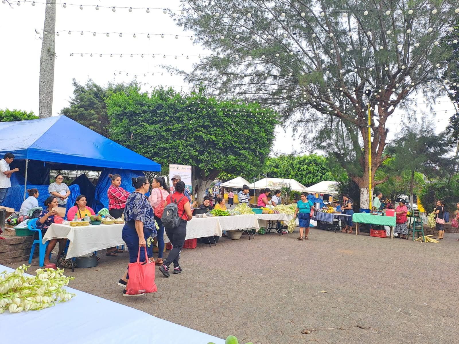 Mercadito Solidario Agroecológico 