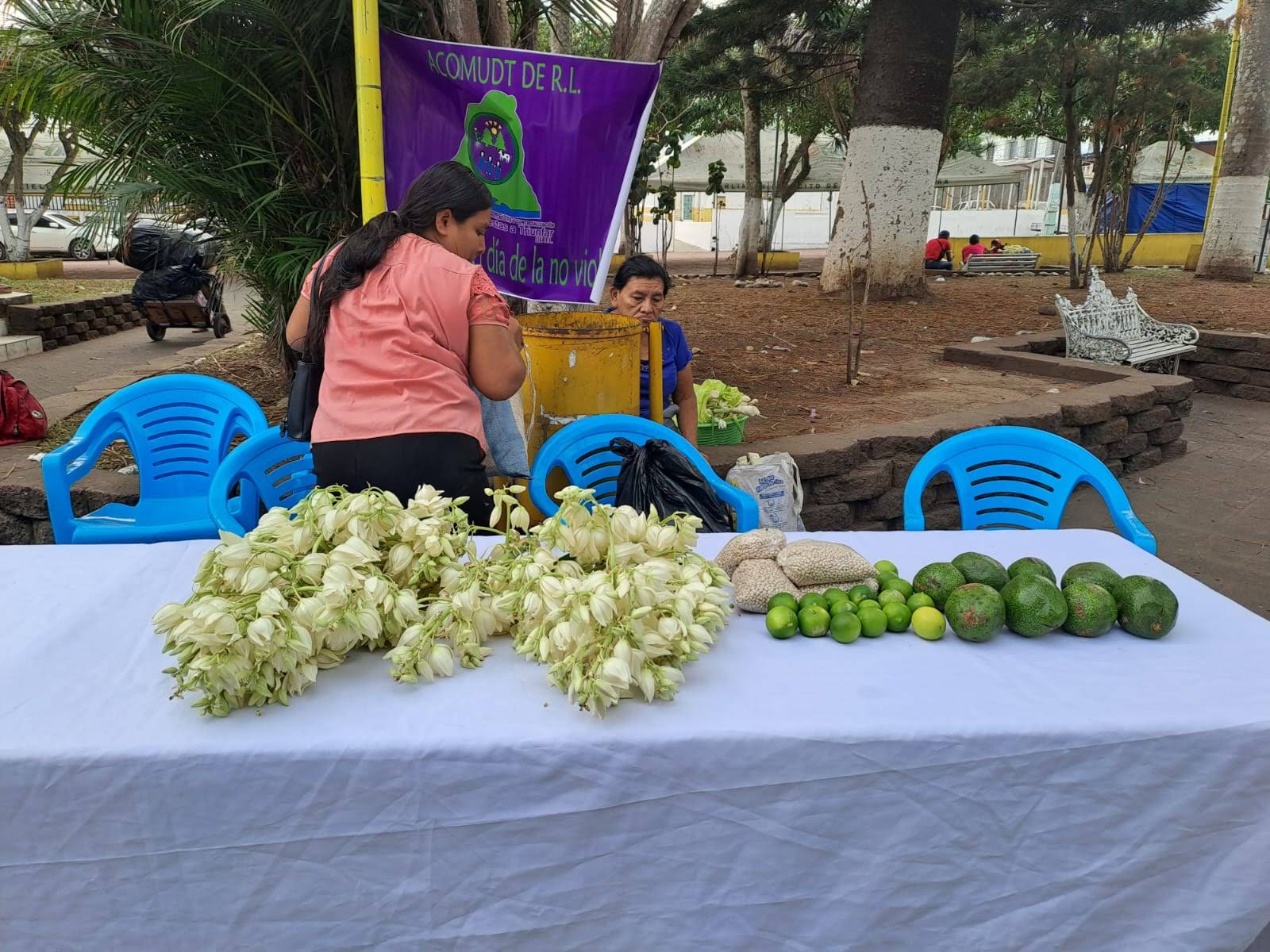 Mercadito Solidario Agroecológico 