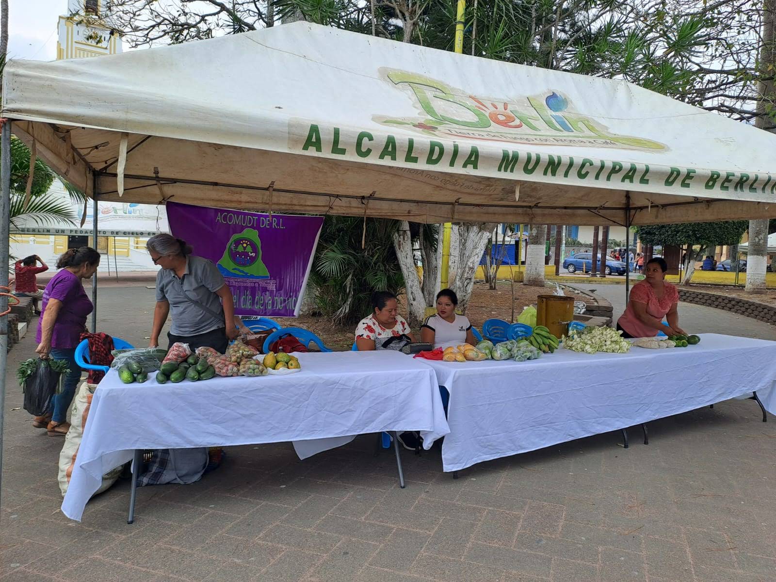 Mercadito Solidario Agroecológico 