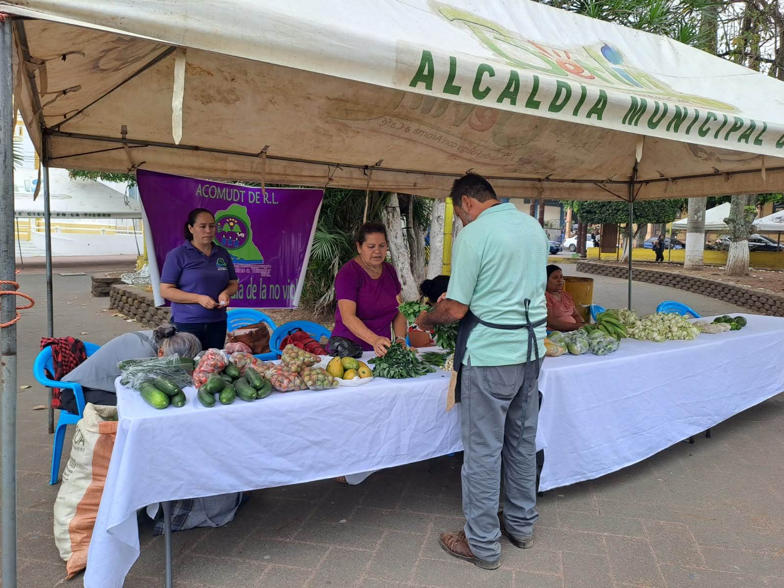 Mercadito Solidario Agroecológico 