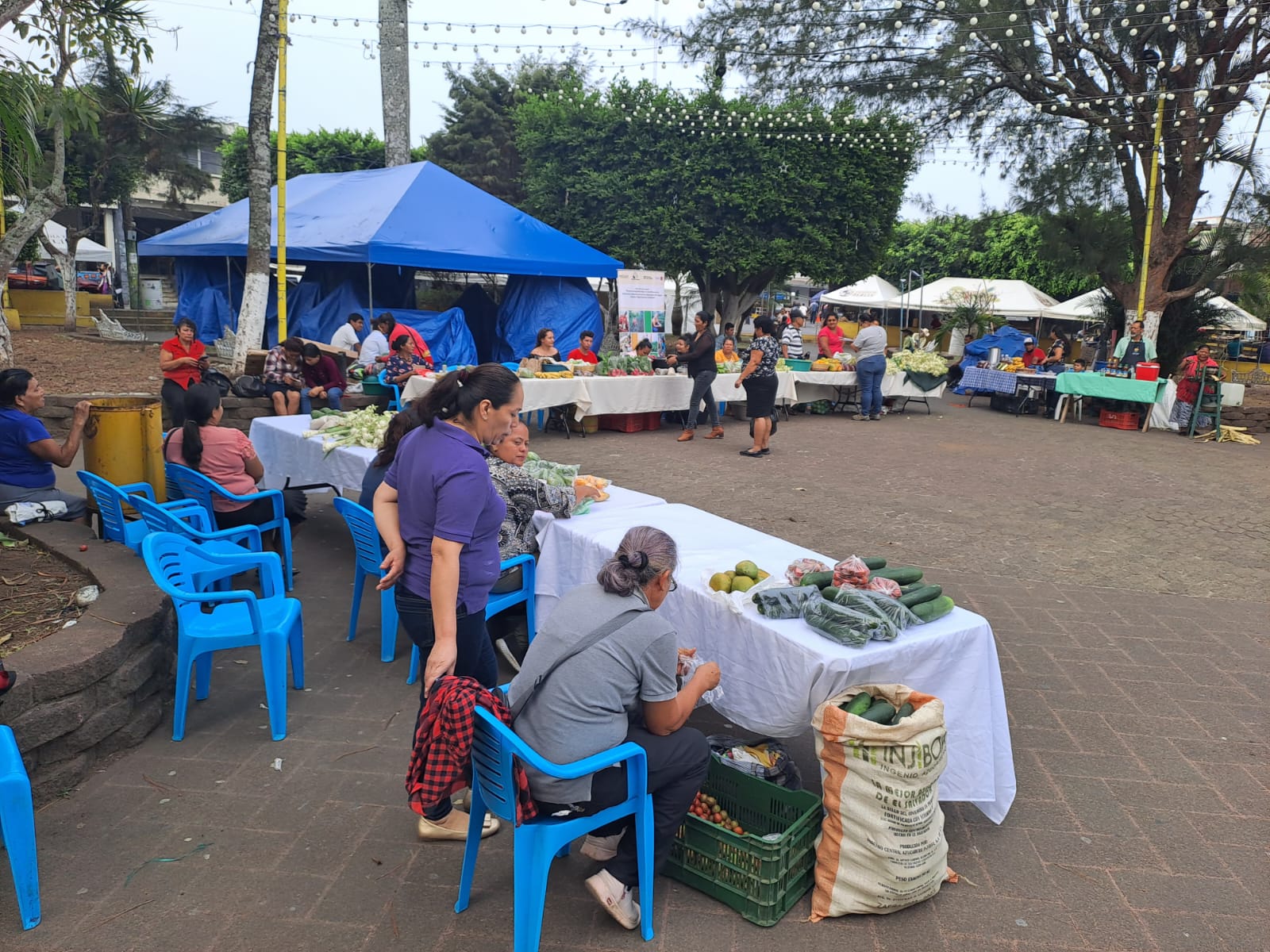 Mercadito Solidario Agroecológico 