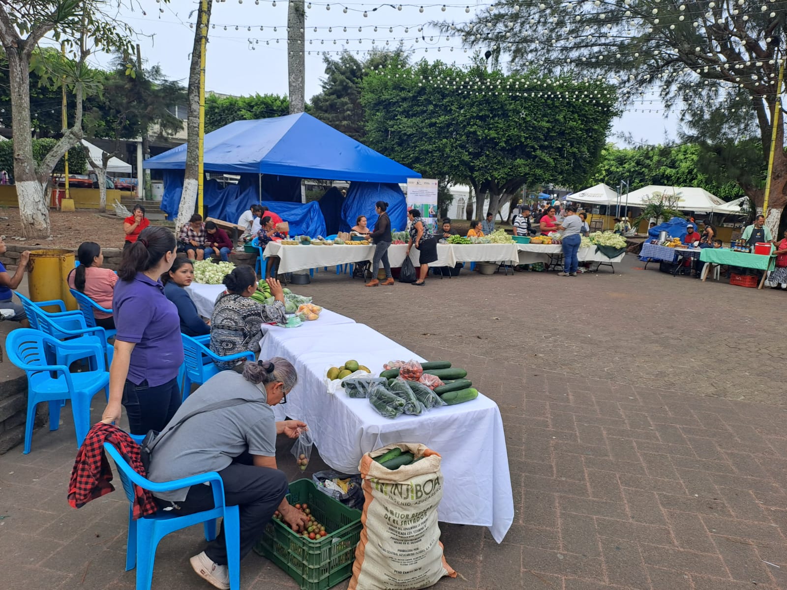 Mercadito Solidario Agroecológico 