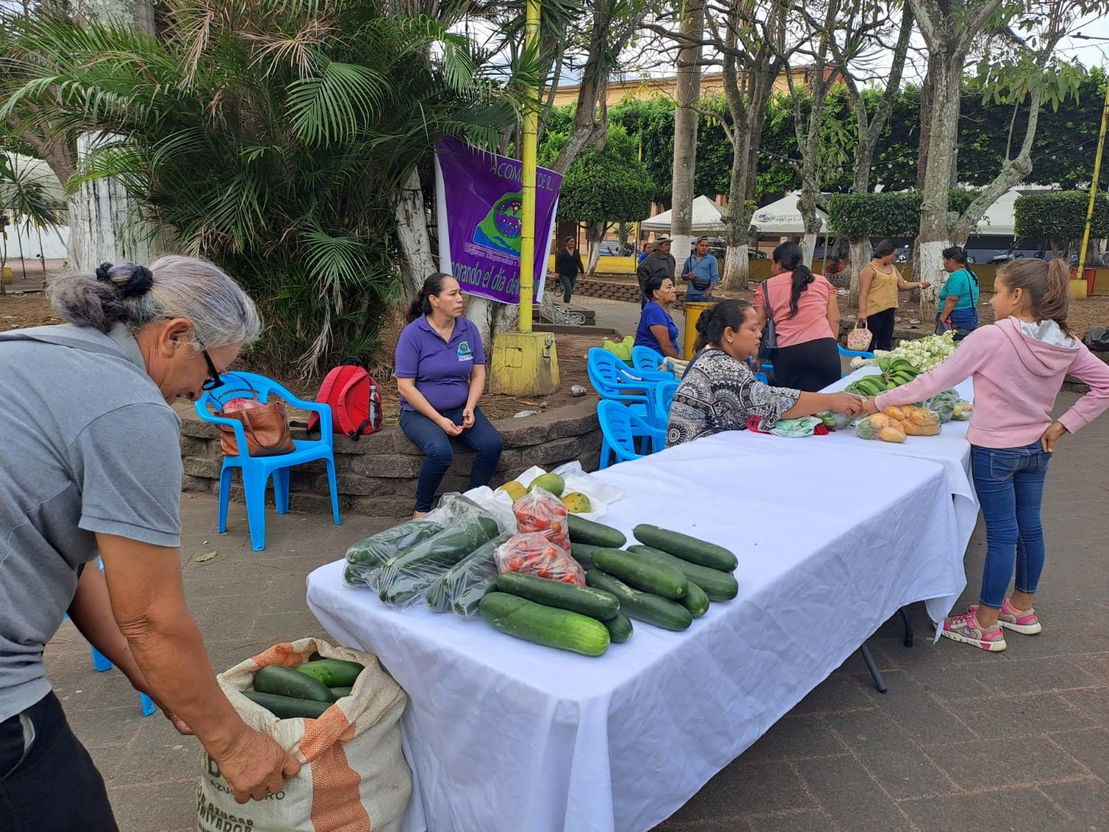 Mercadito Solidario Agroecológico 