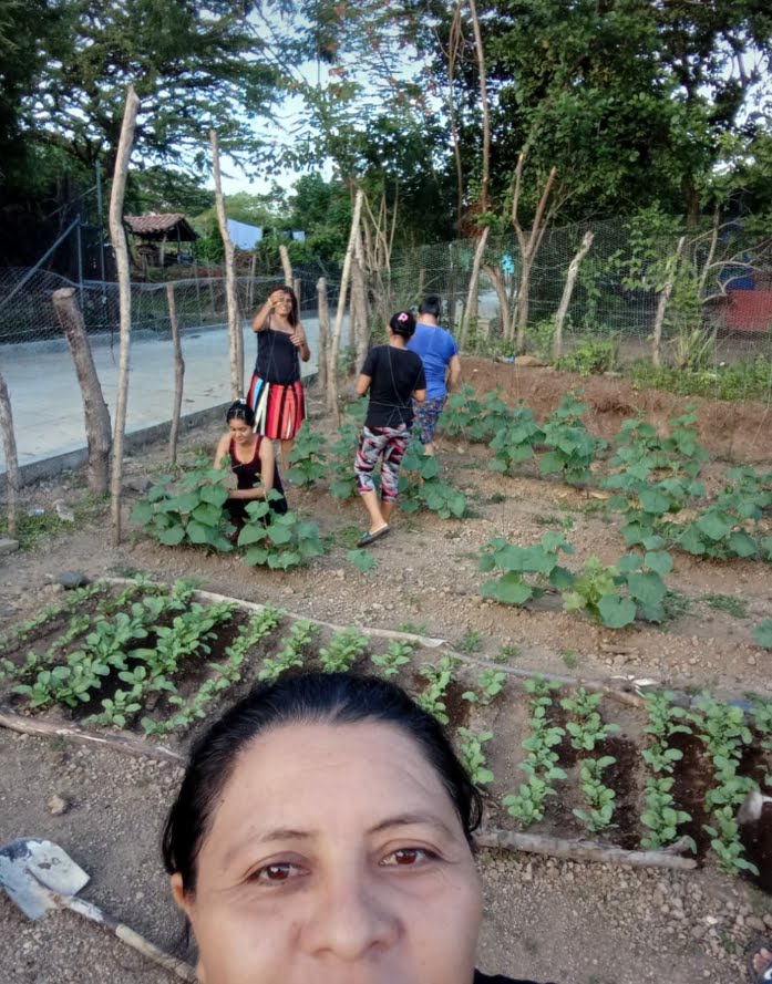 Día del medio Ambiente 